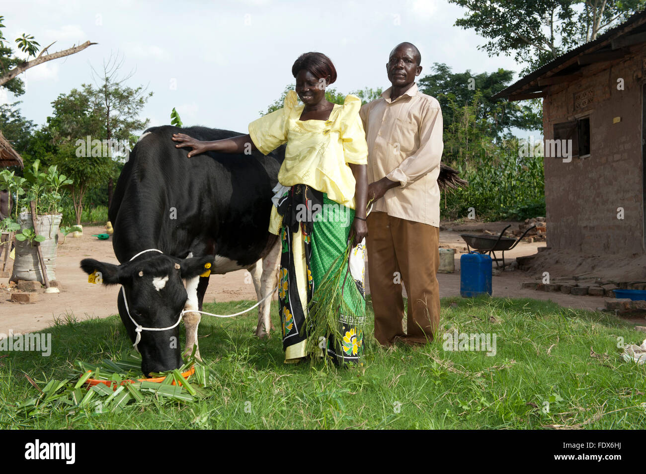 Ugandan family with a dairy cow they received from an aid organisation