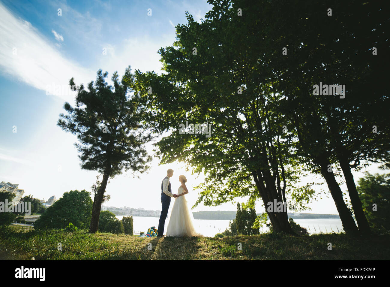 bride groom standing in the park Stock Photo - Alamy
