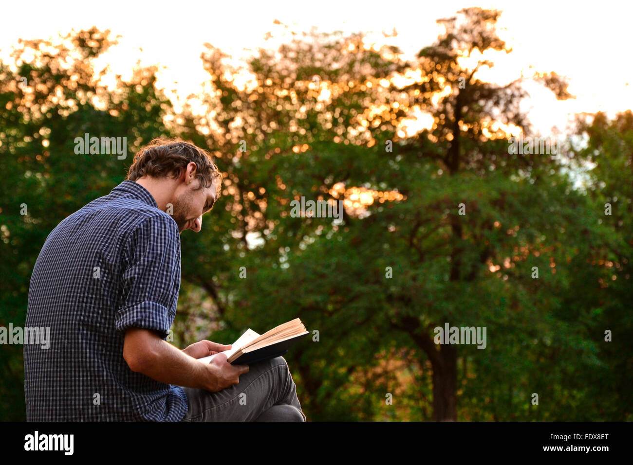 Guy sitting on a bench in the park reading book Stock Photo