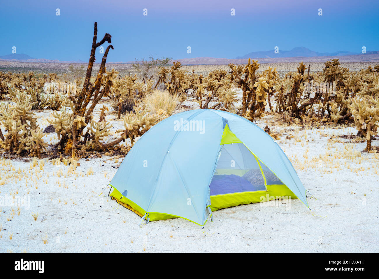 Tent camping at Mountain Springs Canyon Campground in AnzaBorrego