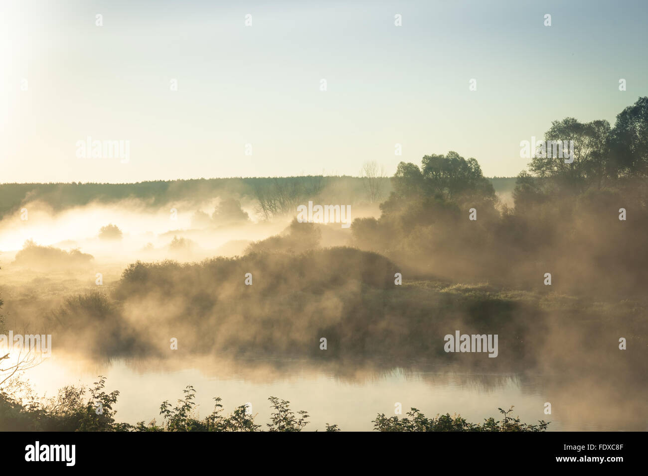 Misty landscape at river during sunrise Stock Photo - Alamy