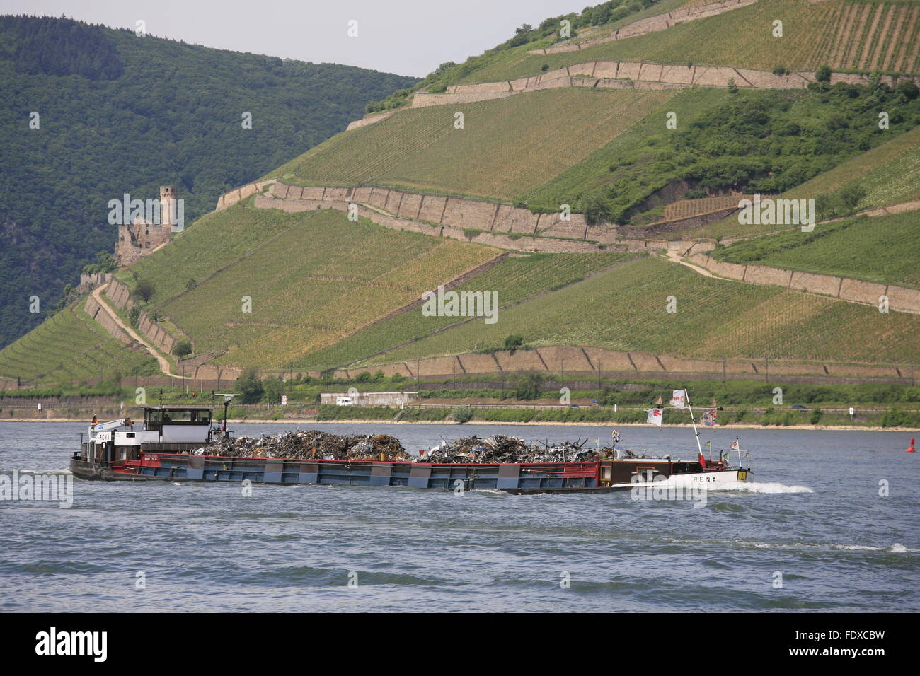 Deutschland, Hessen, Ruedesheim am Rhein, Frachtschiff vor Ruedesheimer Berg mit Burgruine Ehrenfels Stock Photo