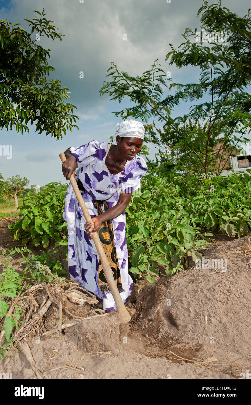 Ugandan lady in field with her hoe, ready to work her crops. Uganda. Stock Photo
