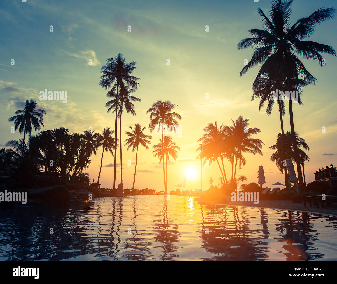 Palm trees on a tropical seaside during amazing sunset Stock Photo - Alamy