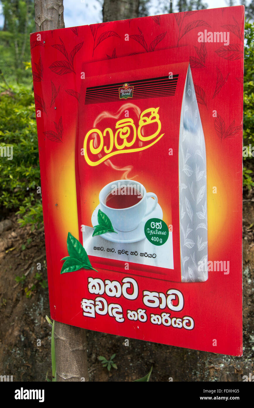 A tea poster advertising a nearby tea shop on the PeradeniyaBadulla