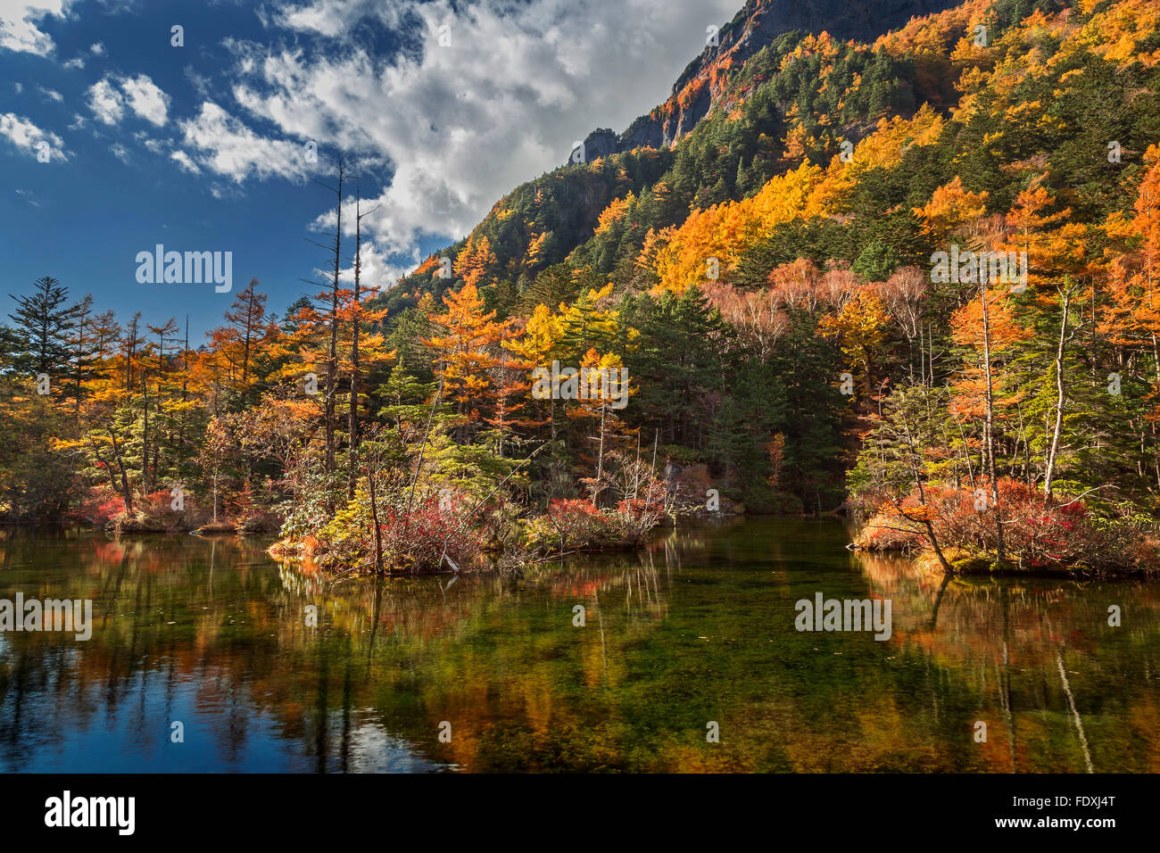 Colorful Autumn forest park in Hokkaido, Japan Stock Photo