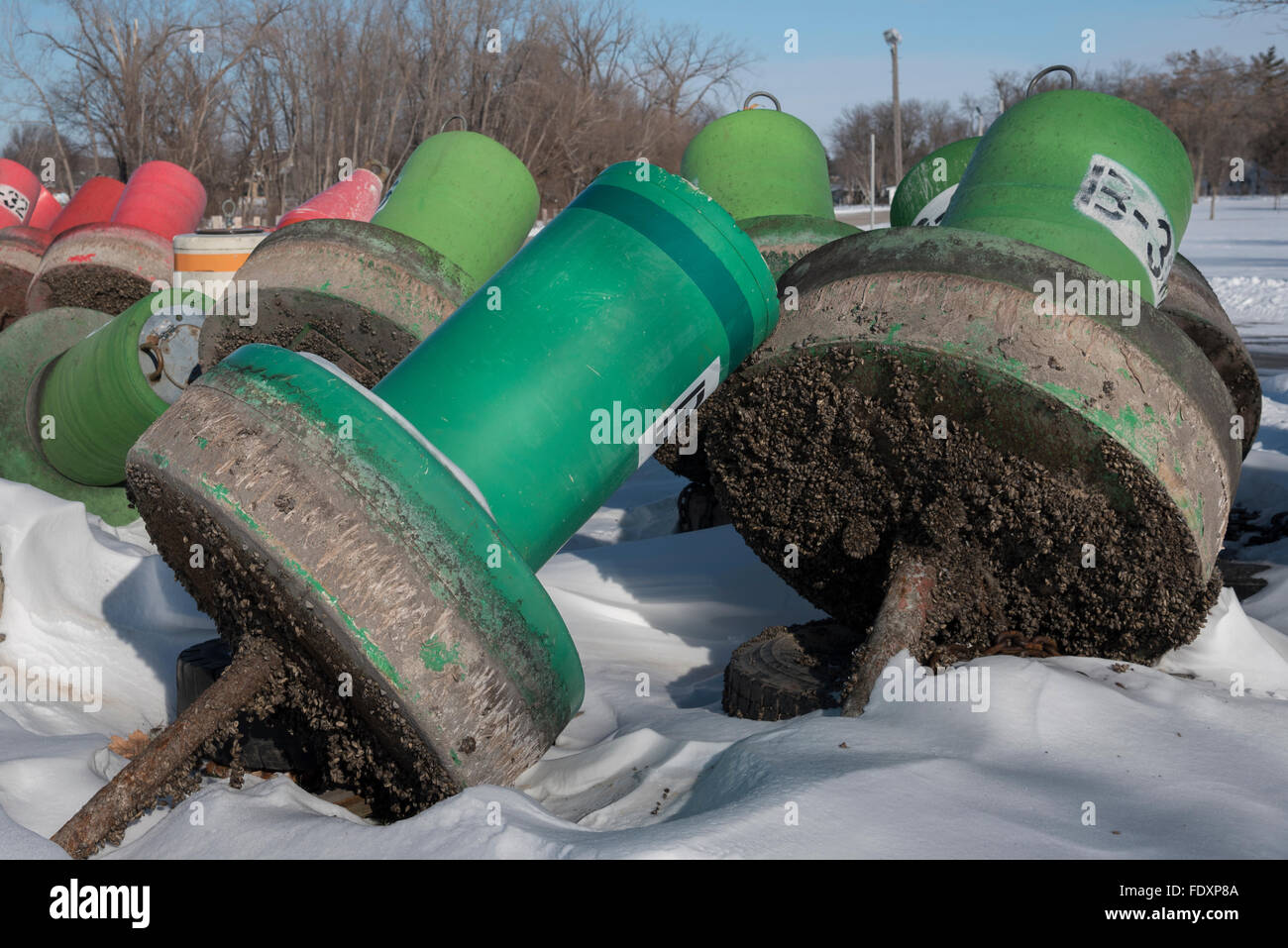 Colorful red and green buoys laying shore in the winter.  The bottom of the buoys are covered in invasive Zebra Mussels Stock Photo
