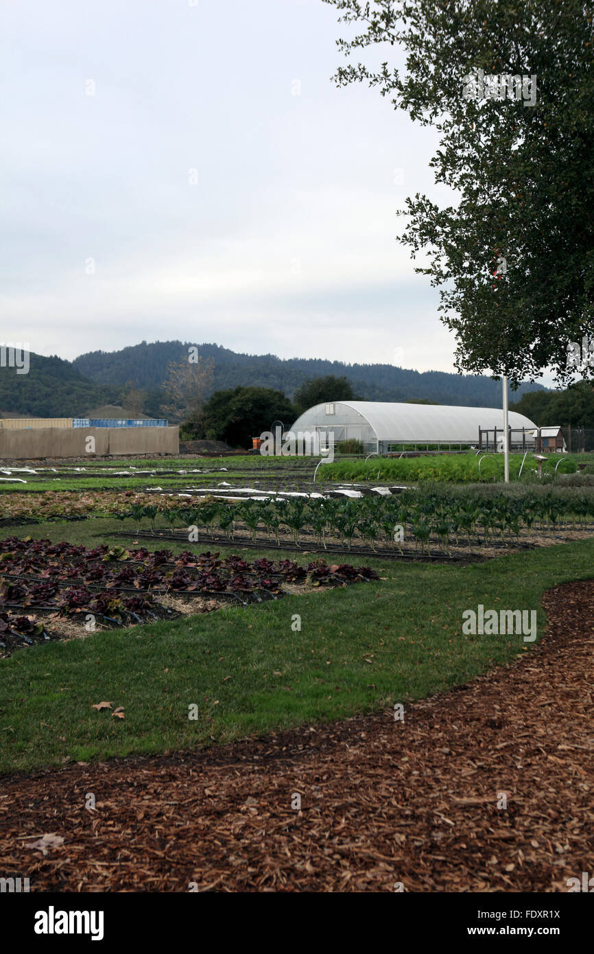 French laundry napa valley hires stock photography and images Alamy