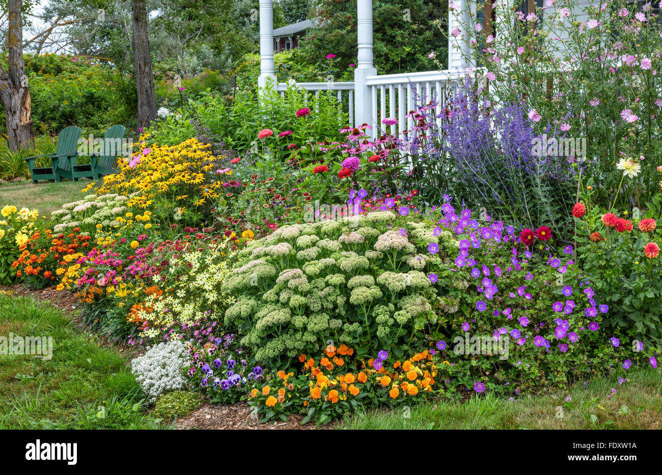 Bass Harbor, Maine: Summer cottage garden and covered porch. Flower garden features sedum 'Autumn Joy', coreopsis, rudbeckia, zi Stock Photo