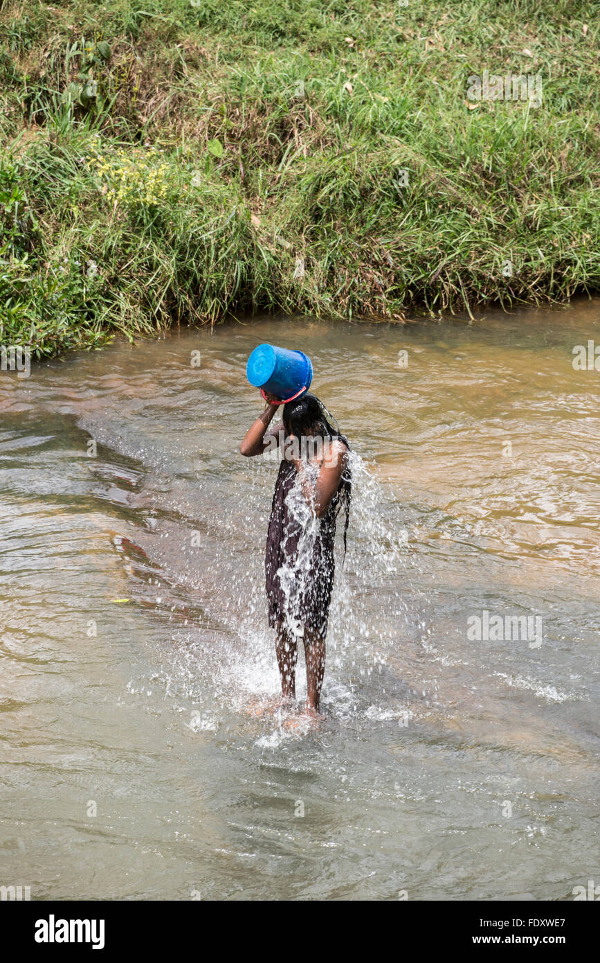 alamy stock photo fieldy