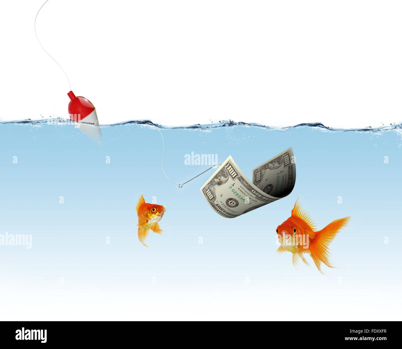 Collage of swimming gold fish and money symbols Stock Photo - Alamy