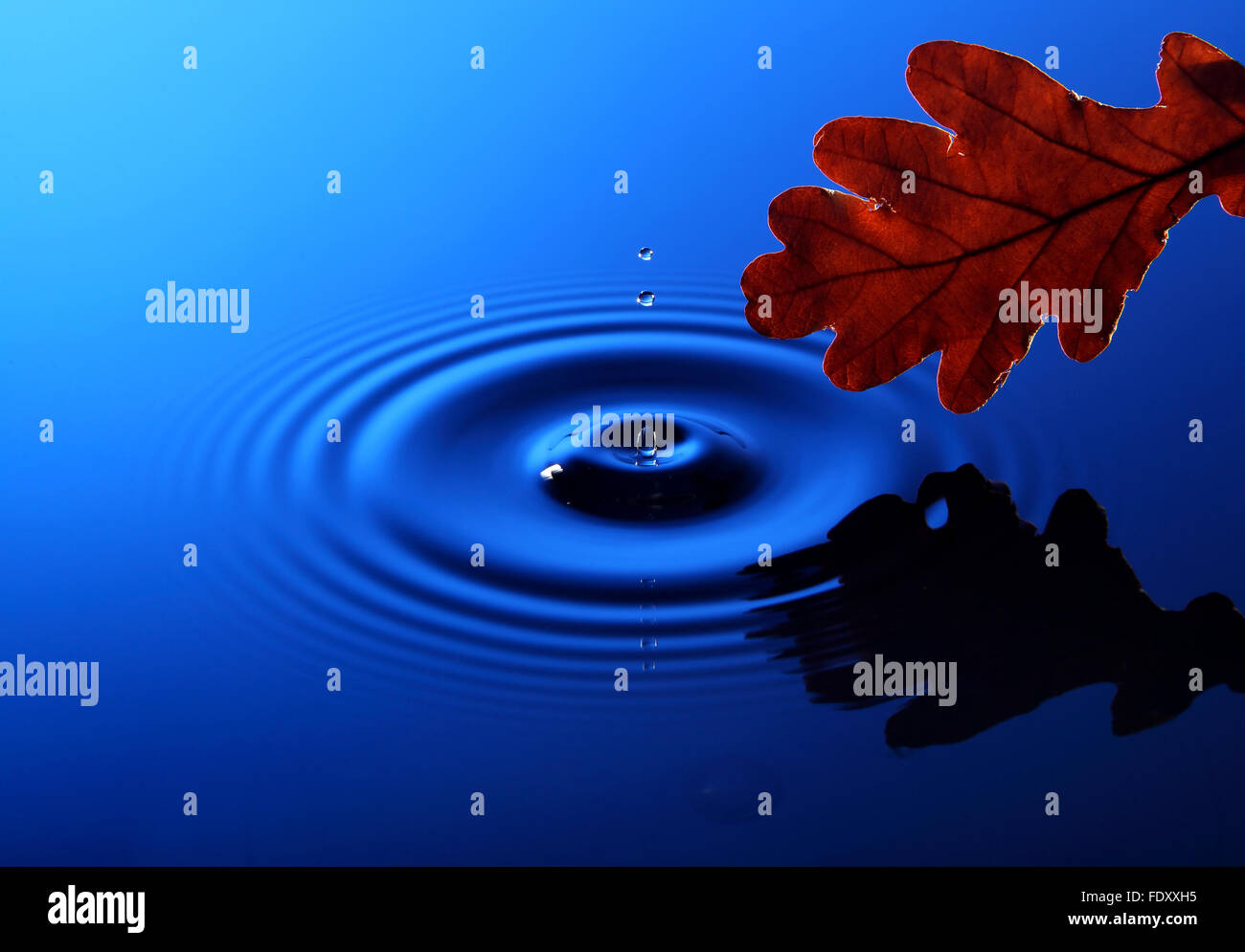 Drop of water falling into the water and leaving it circles Stock Photo