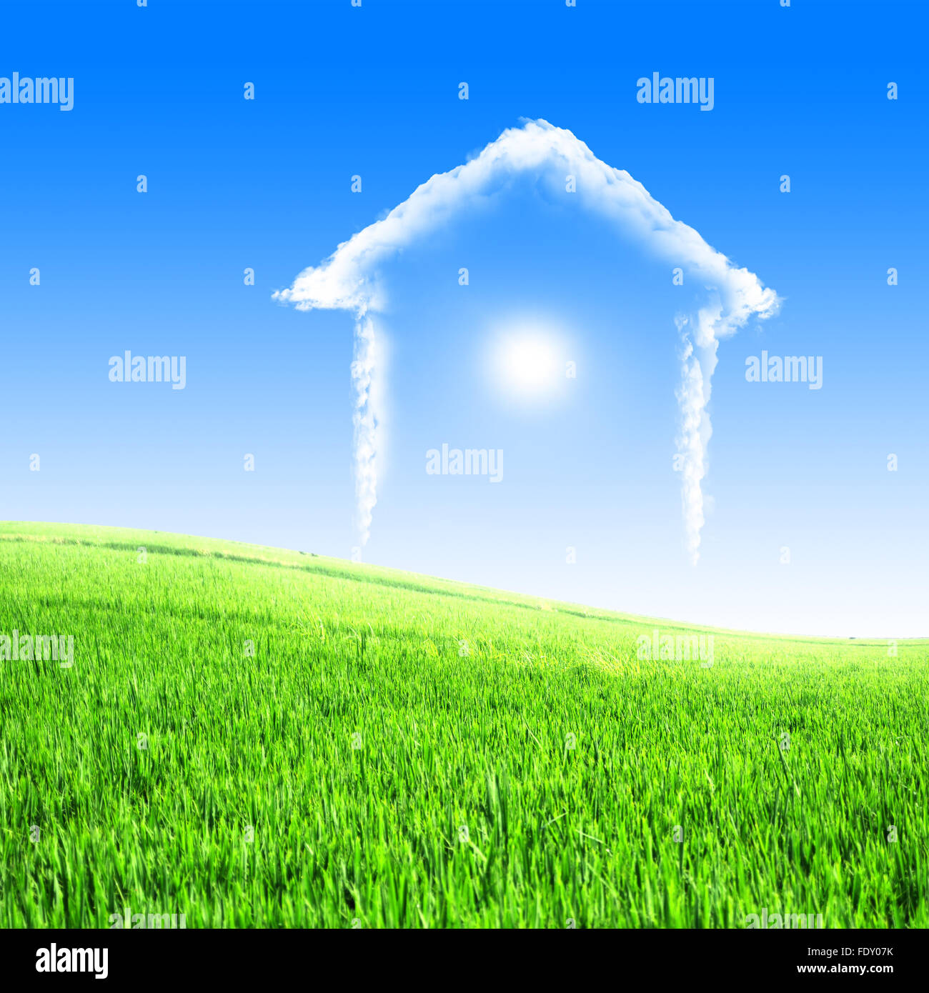 House of clouds in the blue sky against a background of green grass ...