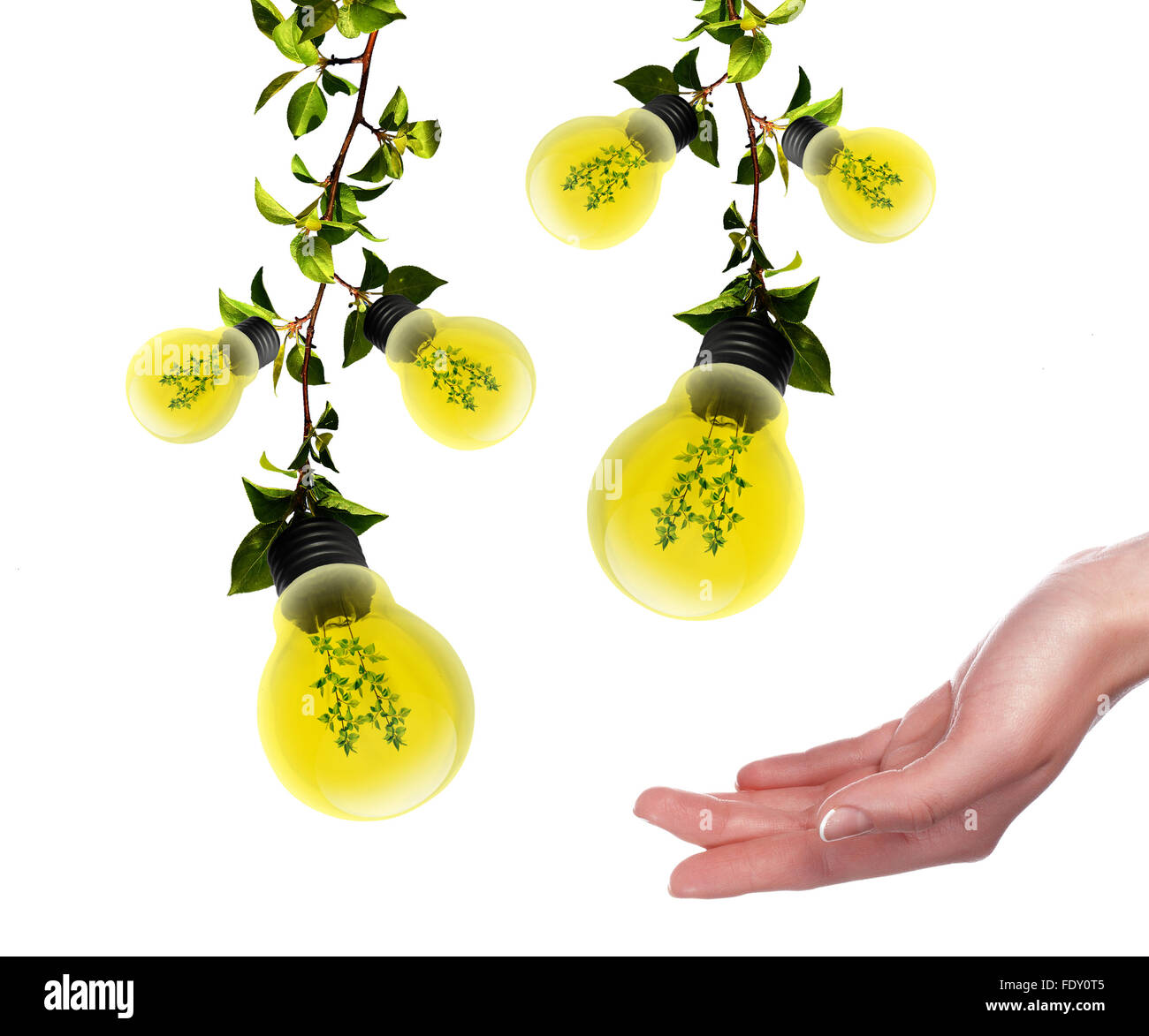 Arms and light bulbs. Symbol of environmental protection. Collage. Stock Photo