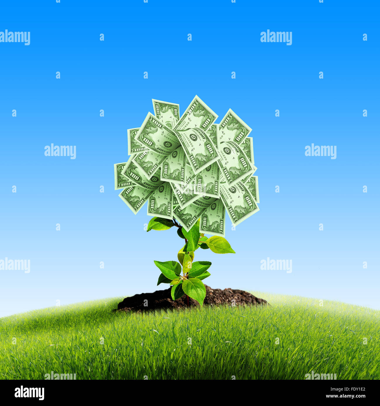 Tree of dollar bills on the green grass against the blue sky. Concept