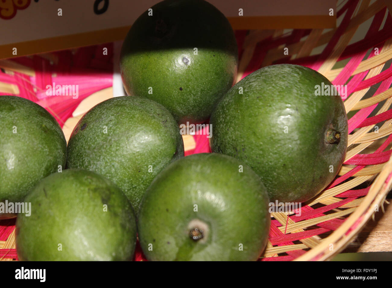 Mangifera odorata,  kuwini mango, fragrant mango, tree with fragrant flowers, rounded fruits, orange fruits, fragrant when ripe Stock Photo