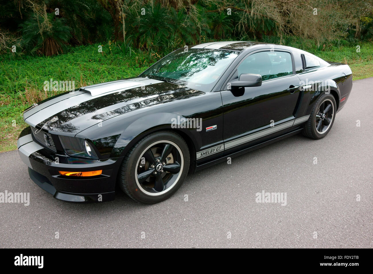 2007 black Shelby GT Mustang muscle car on a highway Stock Photo