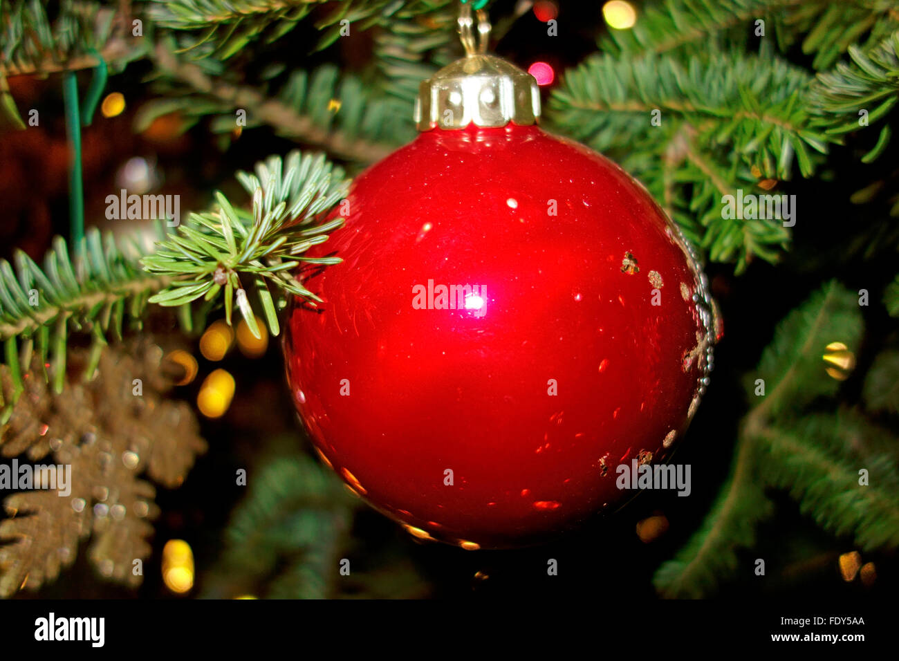 A red ball globe bulb Christmas tree decoration on a fir tree Stock Photo