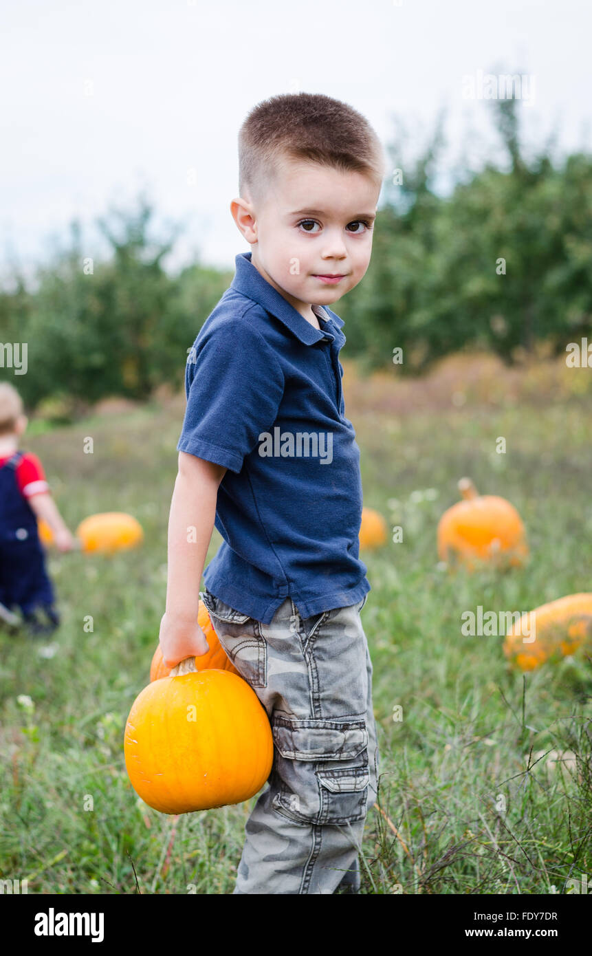 A 4 year old boy carries the pumpkin he's just picked from the pumpkin patch. Stock Photo