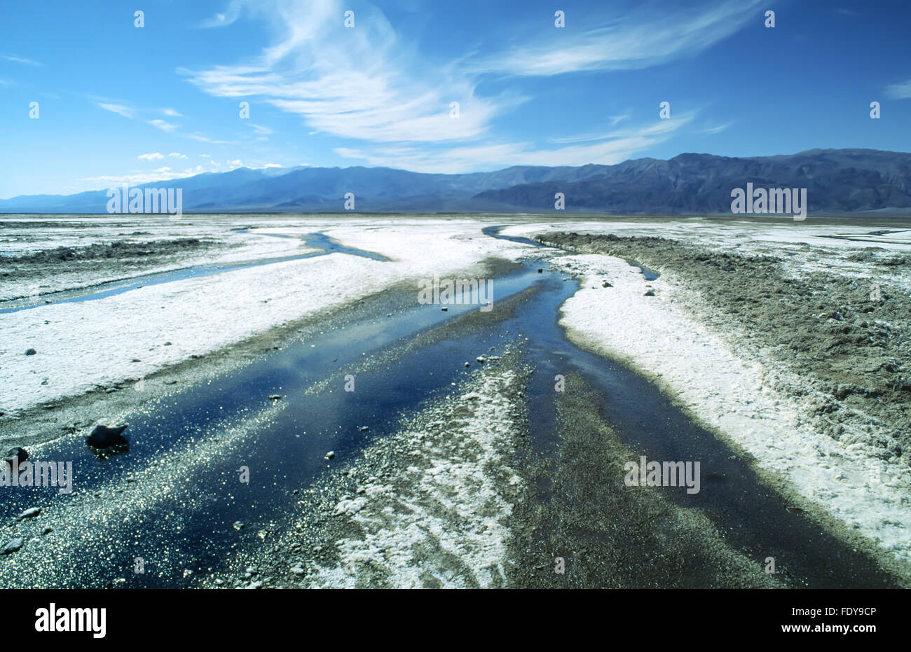 Saltflats and stream near Badwater in Death Valley National Park, California, USA Stock Photo