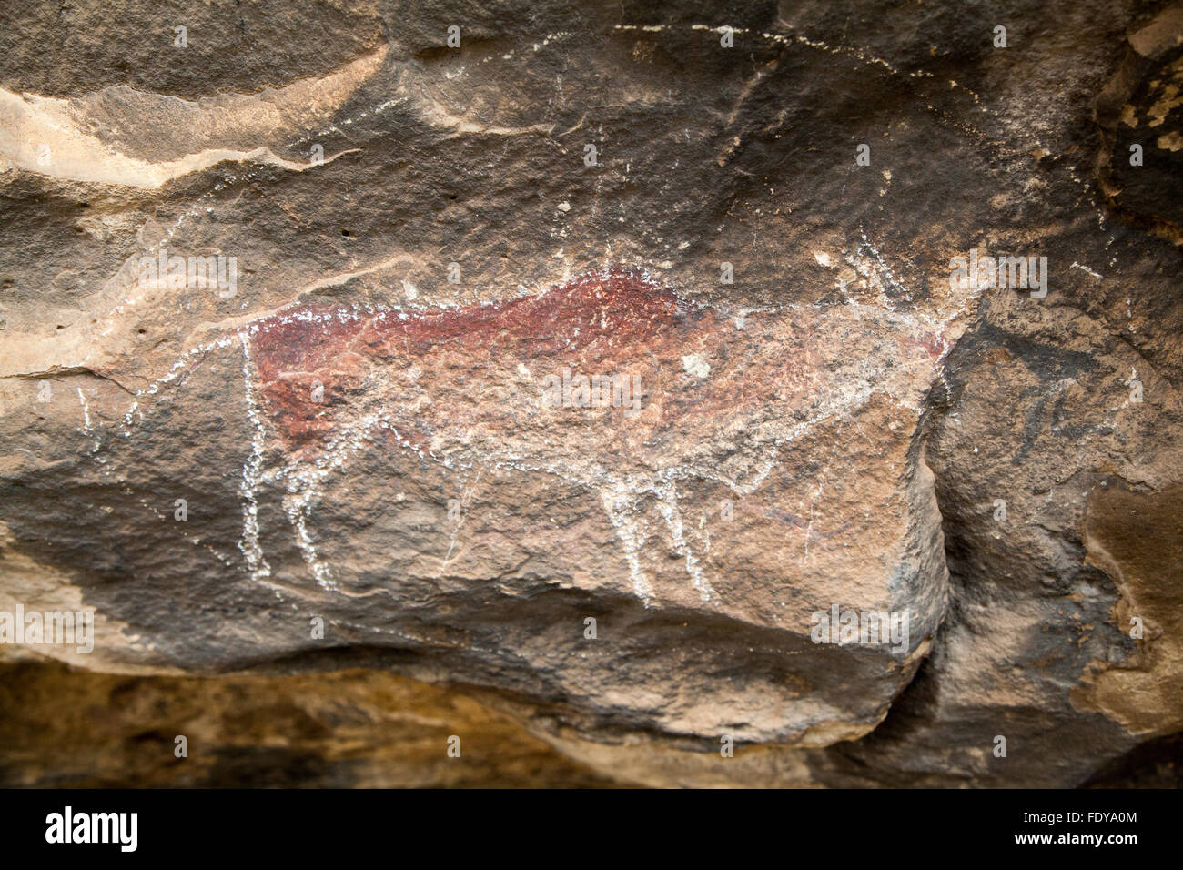 Ancient African eland rock art found on the walls of a overhang in Quthing, Lesotho, Africa Stock Photo