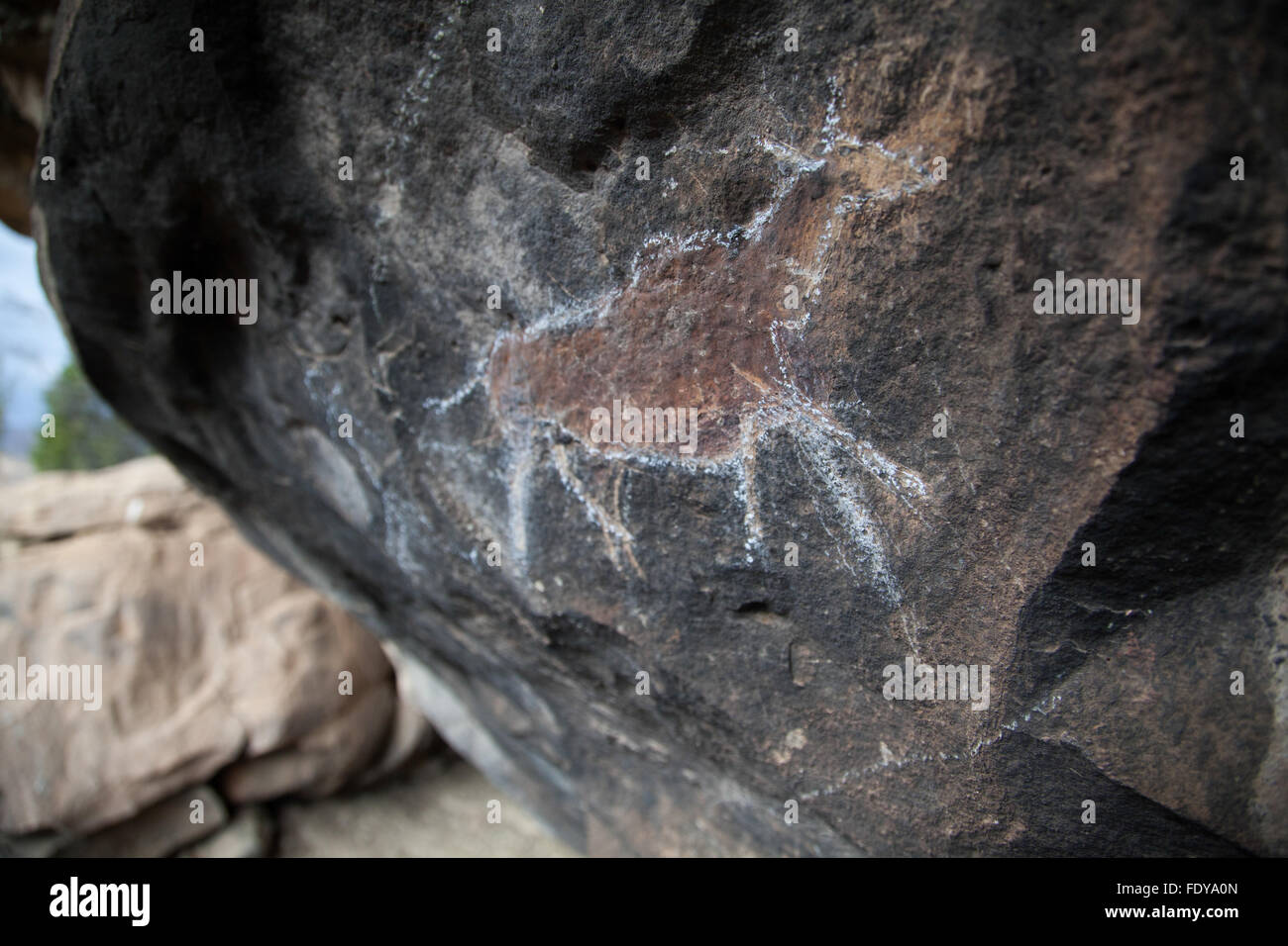 Ancient African eland rock art found on the walls of a overhang in Quthing, Lesotho, Africa Stock Photo
