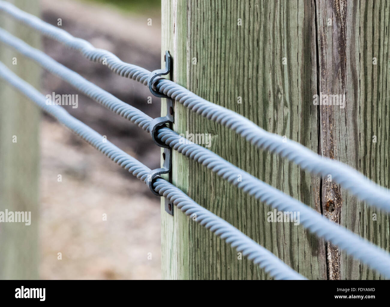 Close-up of three parallel metal cables fastened to wood block, with foreground and background blurred. Stock Photo