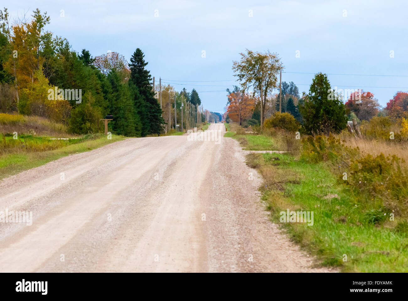 Empty rural country dirt road in autumn with orange and green trees and ...