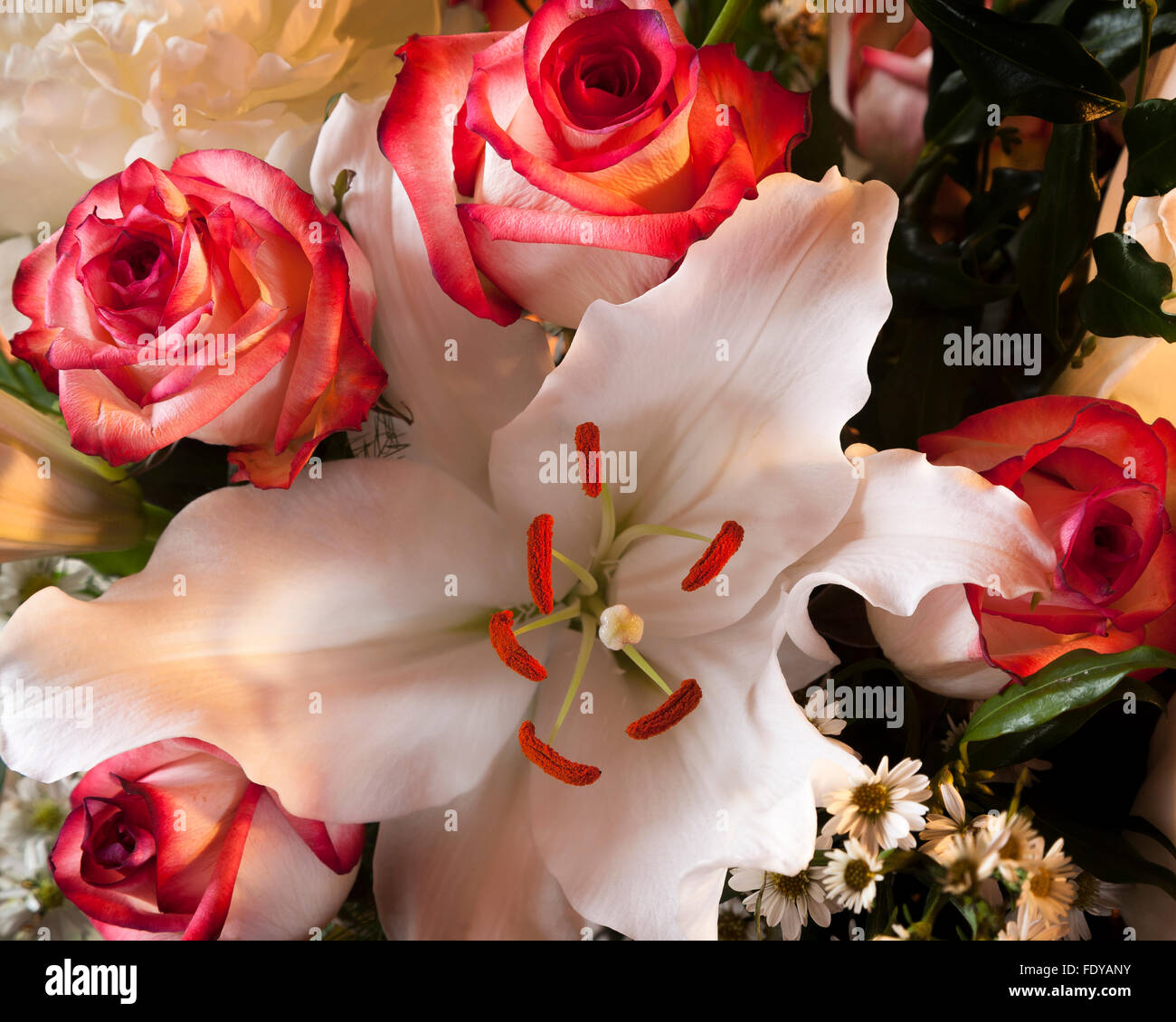 White lily with red tipped white roses Stock Photo Alamy