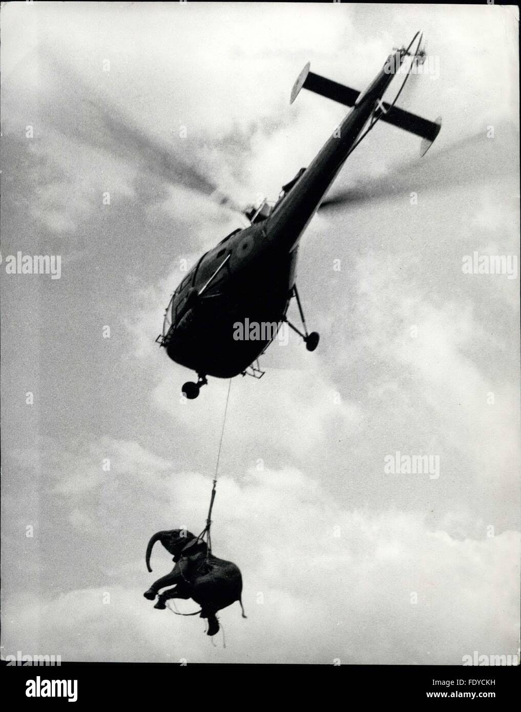1962-elephant-airlift-in-rwanda-credits-camerapix-credit-image-keystone-FDYCKH.jpg
