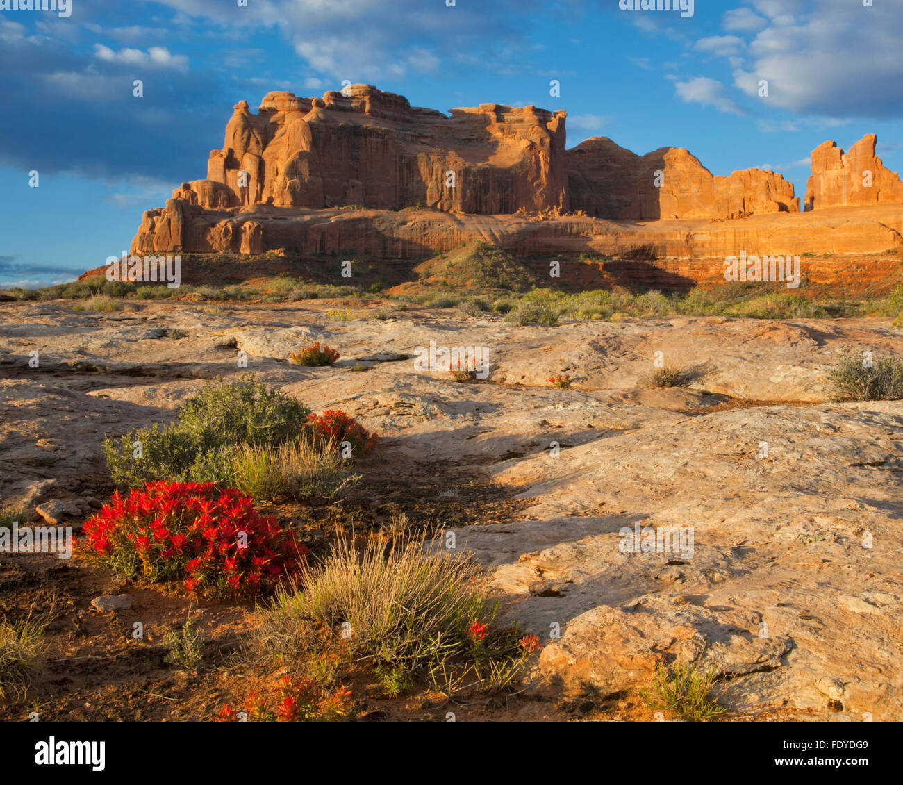 Arches National Park, UT Morning sun illuminates clearing clouds and