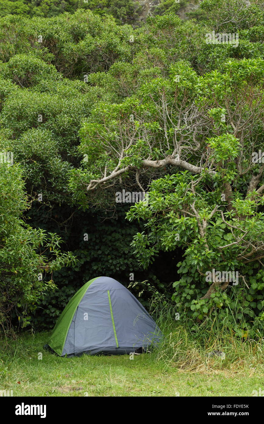 Campers have chosen a beautiful site to pitch their tent at Half Moon Bay, Kaikoura, New Zealand. Stock Photo