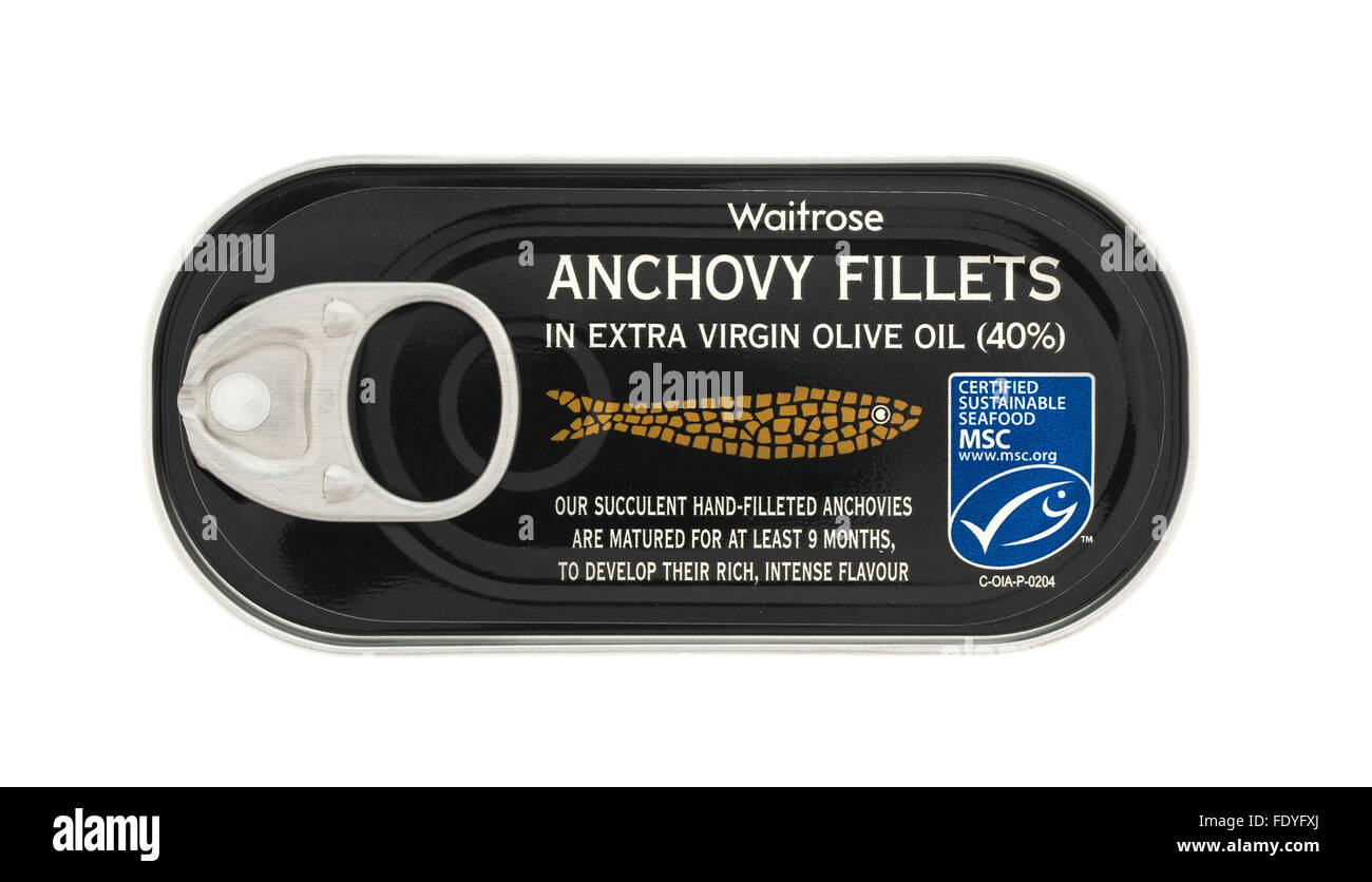 Tin Of Waitrose Anchovy Fillets in Olive Oil On A White Background Stock Photo