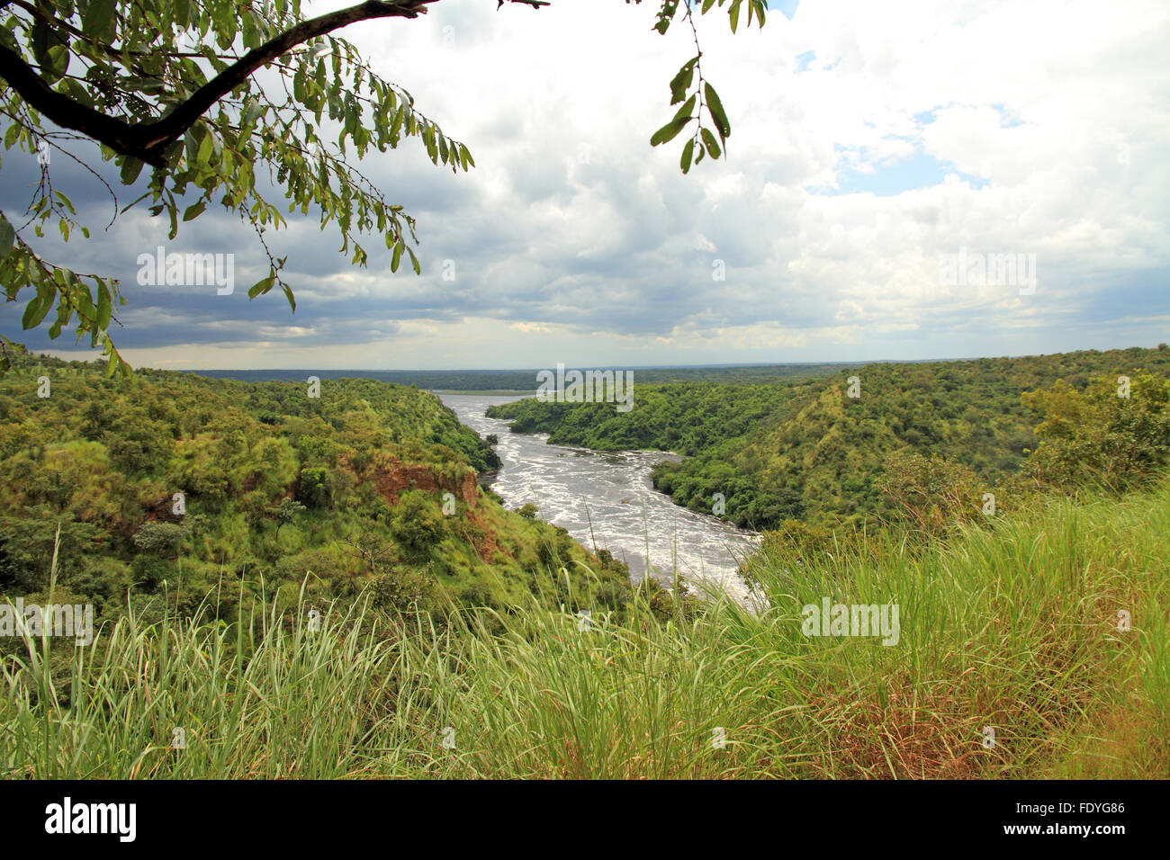Looking out over Murchison Falls National Park in Uganda. Stock Photo
