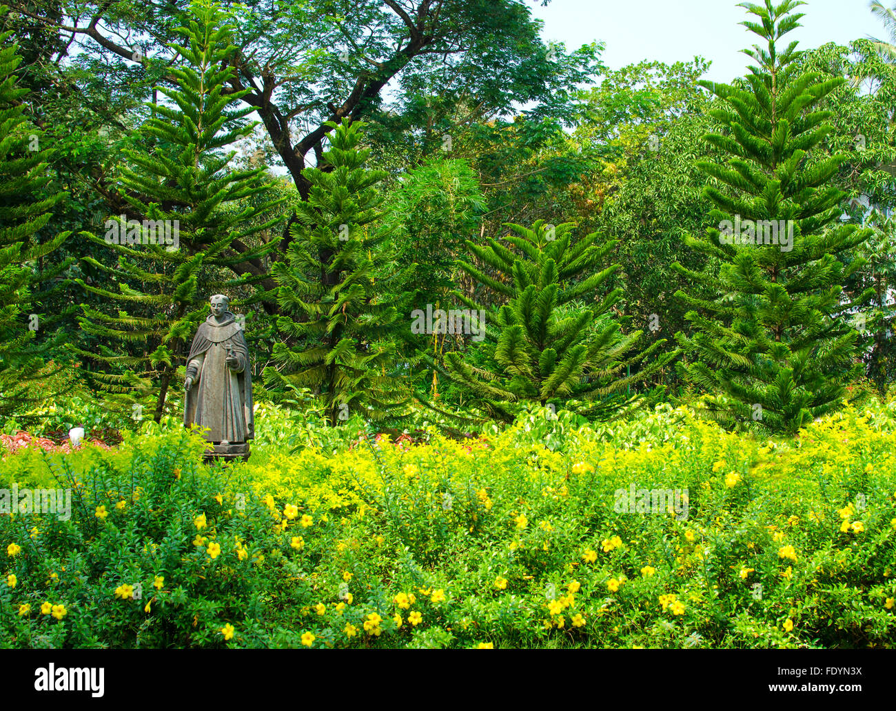 garden in Old Goa India,plants,flowers,trees,a garden of tropical