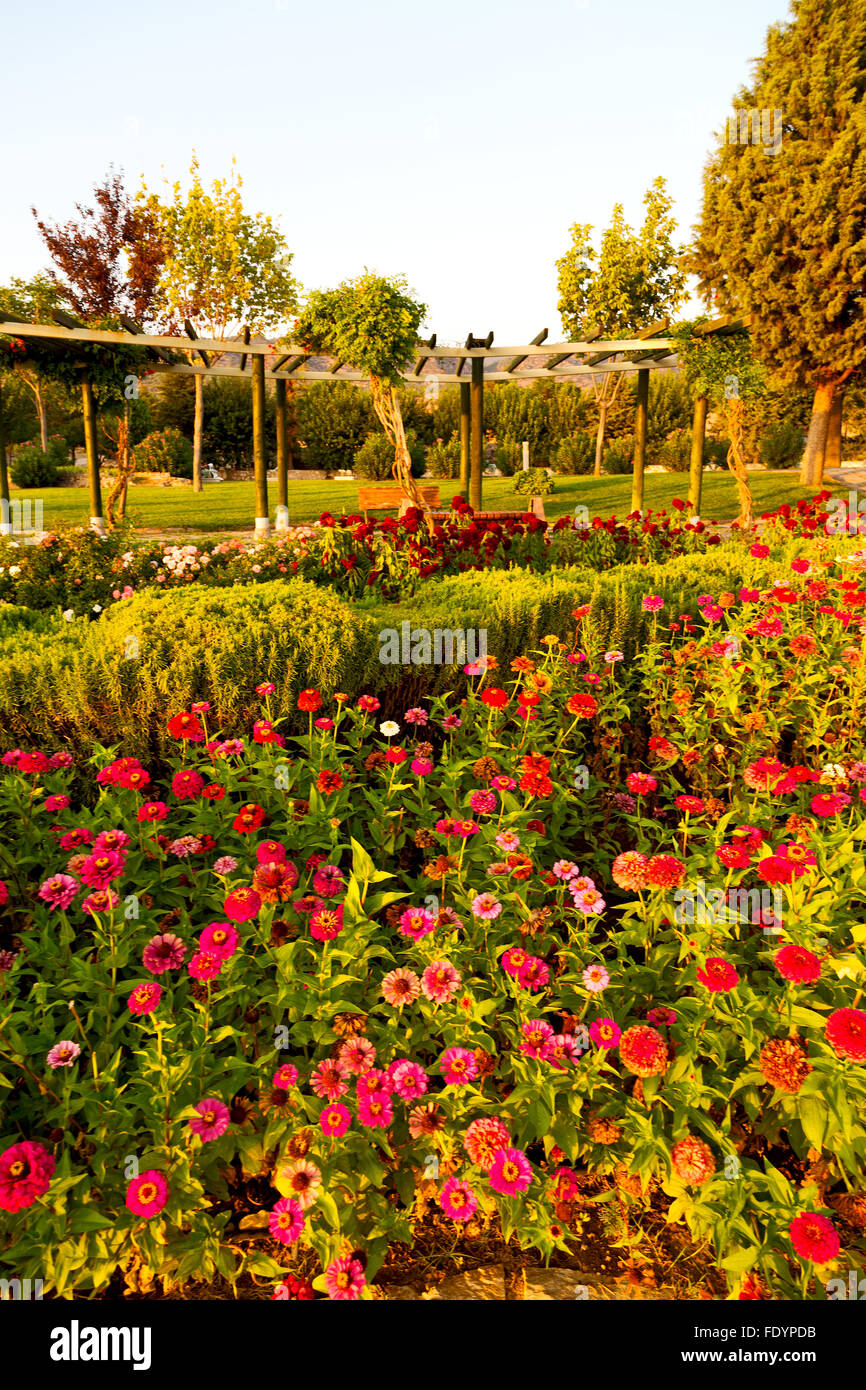 garden in pamukkale turkey trees and flower and the sky Stock Photo - Alamy
