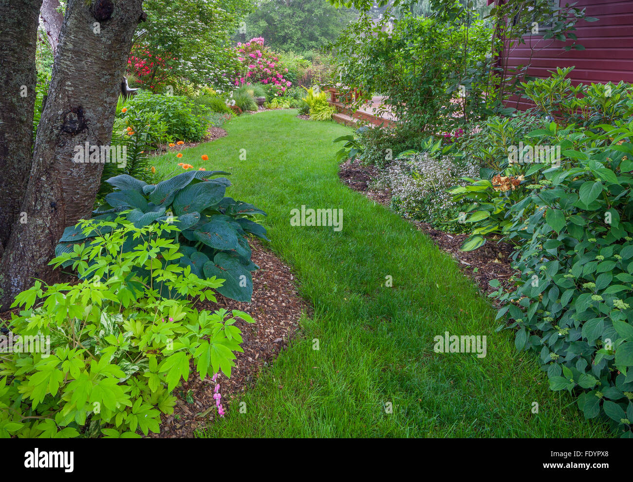 VashonMaury Island, WA Perennial garden in late spring with grass