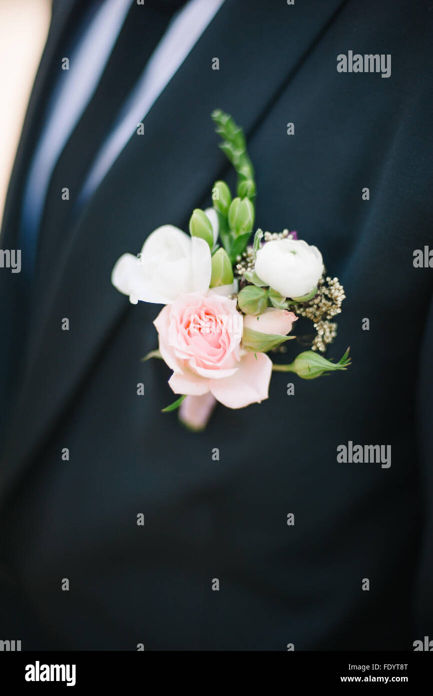 Pinning a Boutonniere for groom on wedding day Stock Photo