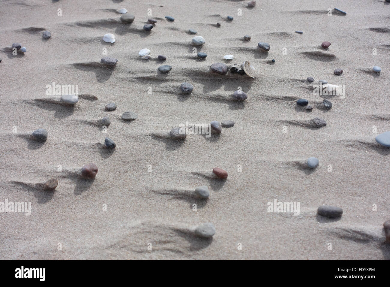 Kolberg, Poland, pebbles and seashells on the beach Stock Photo