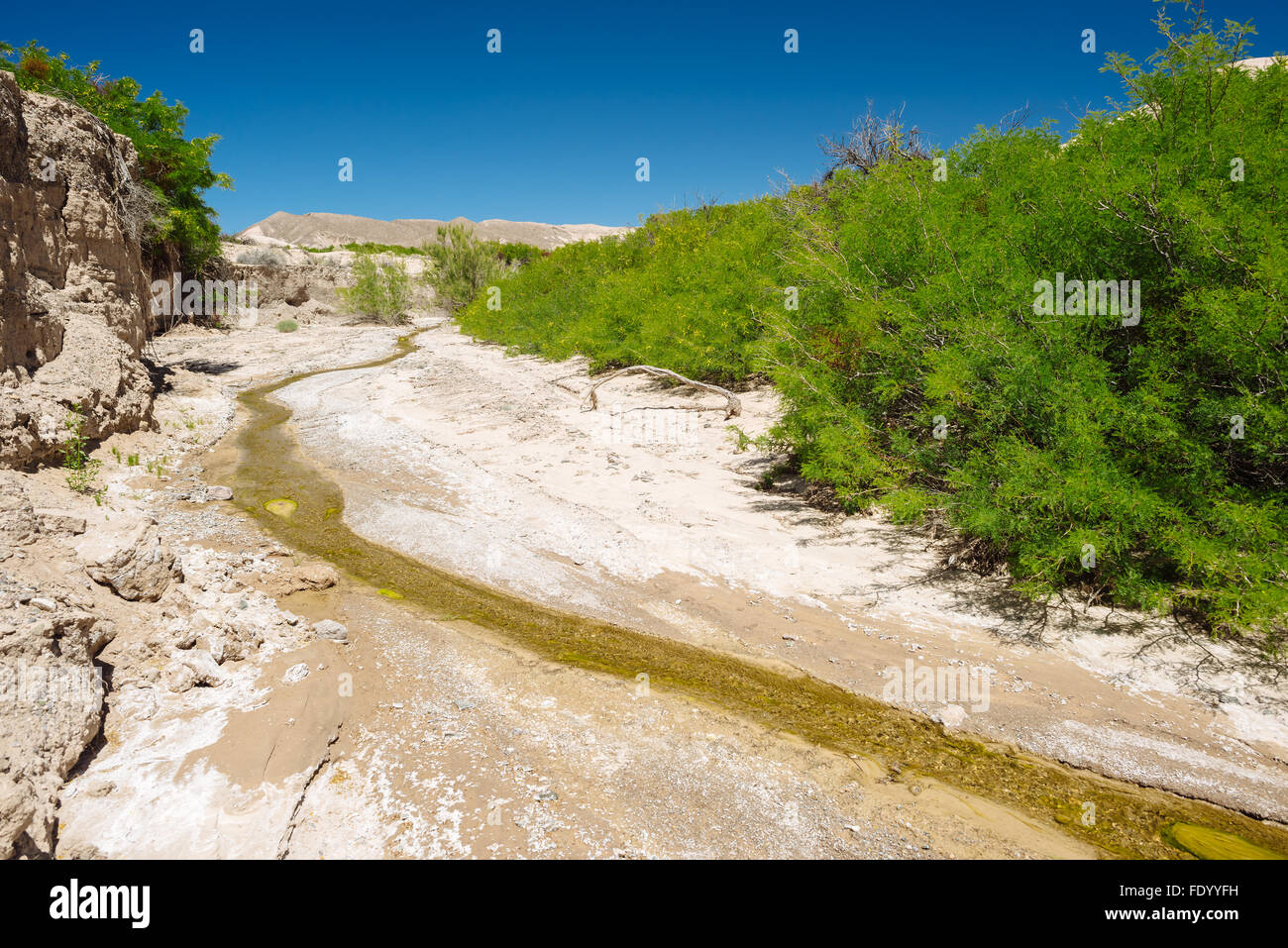 Desert scenery along the Amargosa River Trail near Tecopa, California Stock Photo