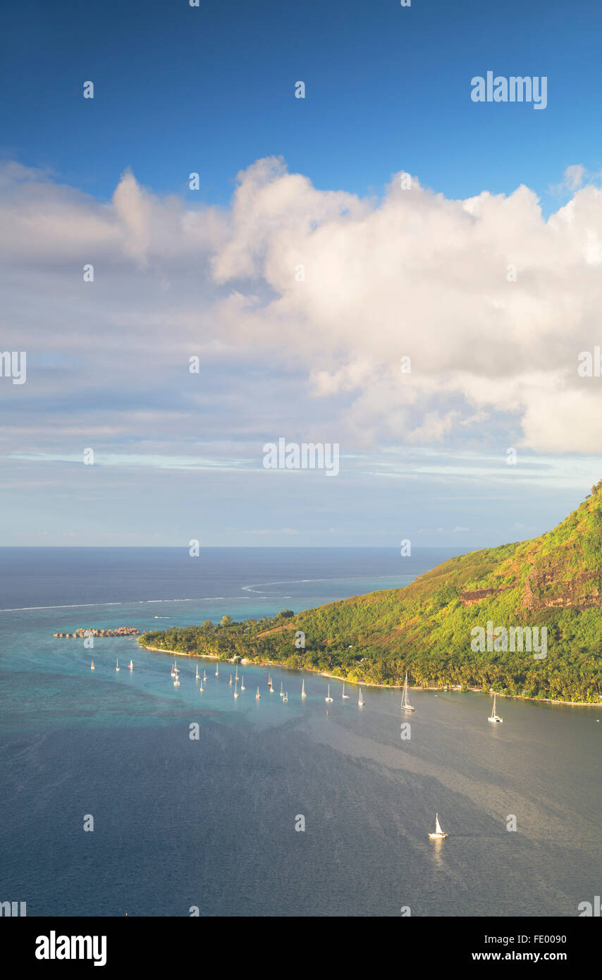 View of Opunohu Bay and Hilton Mo'orea Lagoon Resort, Mo'orea, Society Islands, French Polynesia Stock Photo