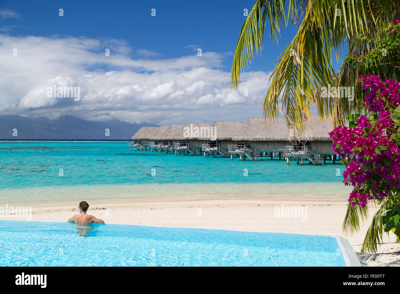 Woman in pool at Sofitel Hotel, Moorea, Society Islands, French Polynesia Stock Photo