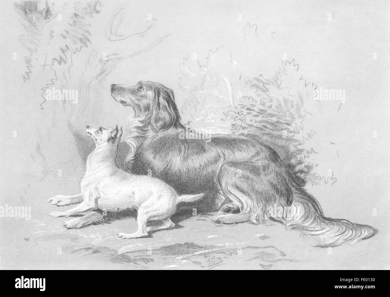 DOGS: Safe!-Landseer, antique print c1880 Stock Photo