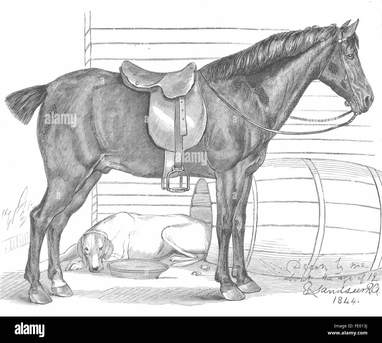 HORSES: Waiting to start(Pony)-Landseer, antique print c1880 Stock Photo
