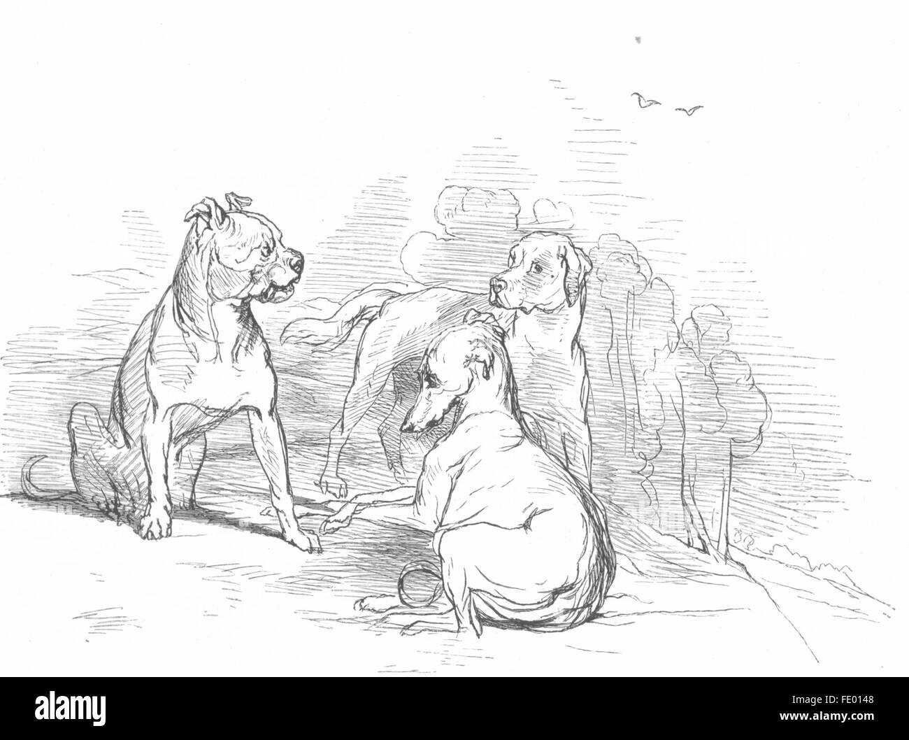 DOGS: Braggart(3)-Landseer, antique print c1880 Stock Photo