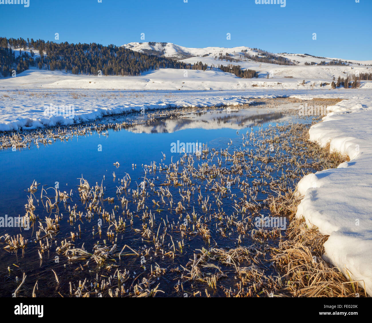 Yellowstone National Park, WY:  An icy Lamar River reflecting Speciman Ridge on a winter morning Stock Photo
