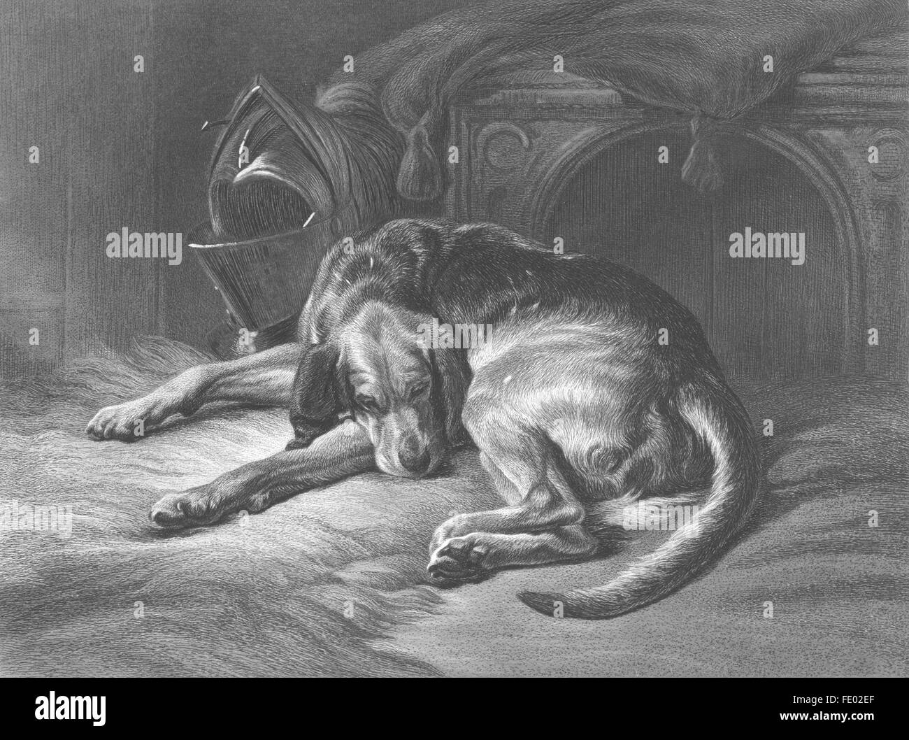 Dogs sleeping painting hi res stock photography and images Alamy