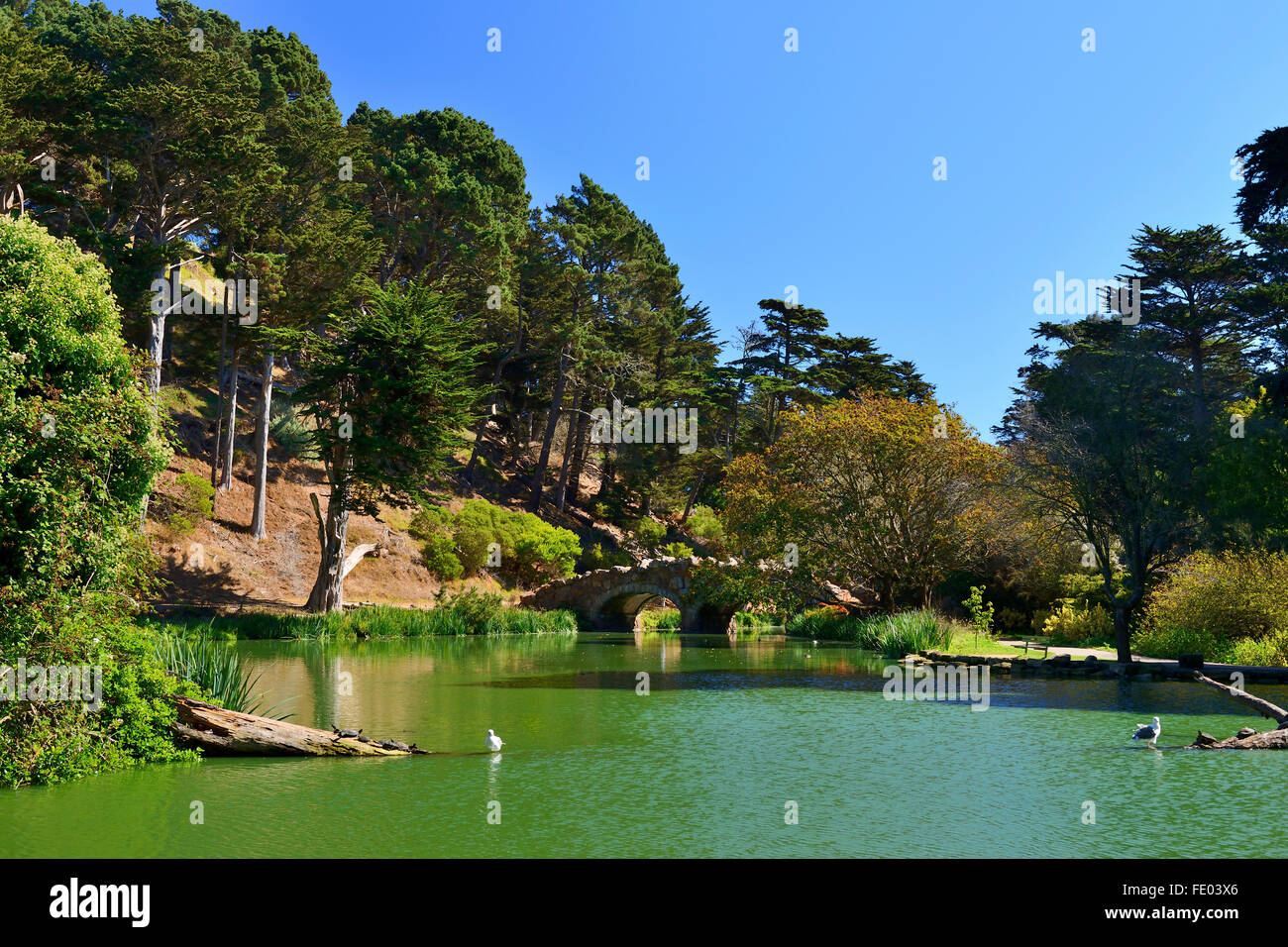 Stow Lake in Golden Gate Park, San Francisco, California, USA Stock