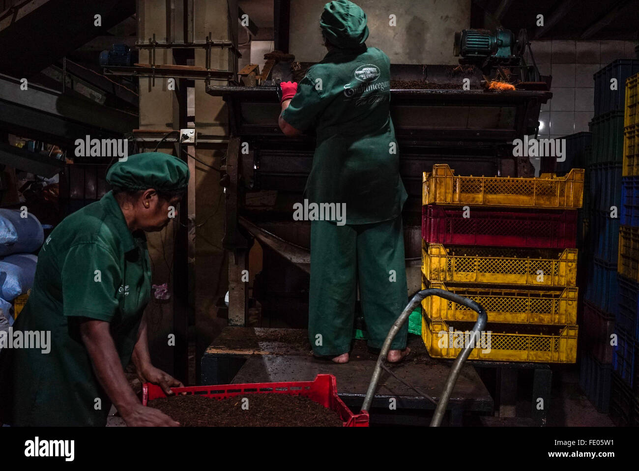 Tea Factory Sri Lanka High Resolution Stock Photography and Images - Alamy