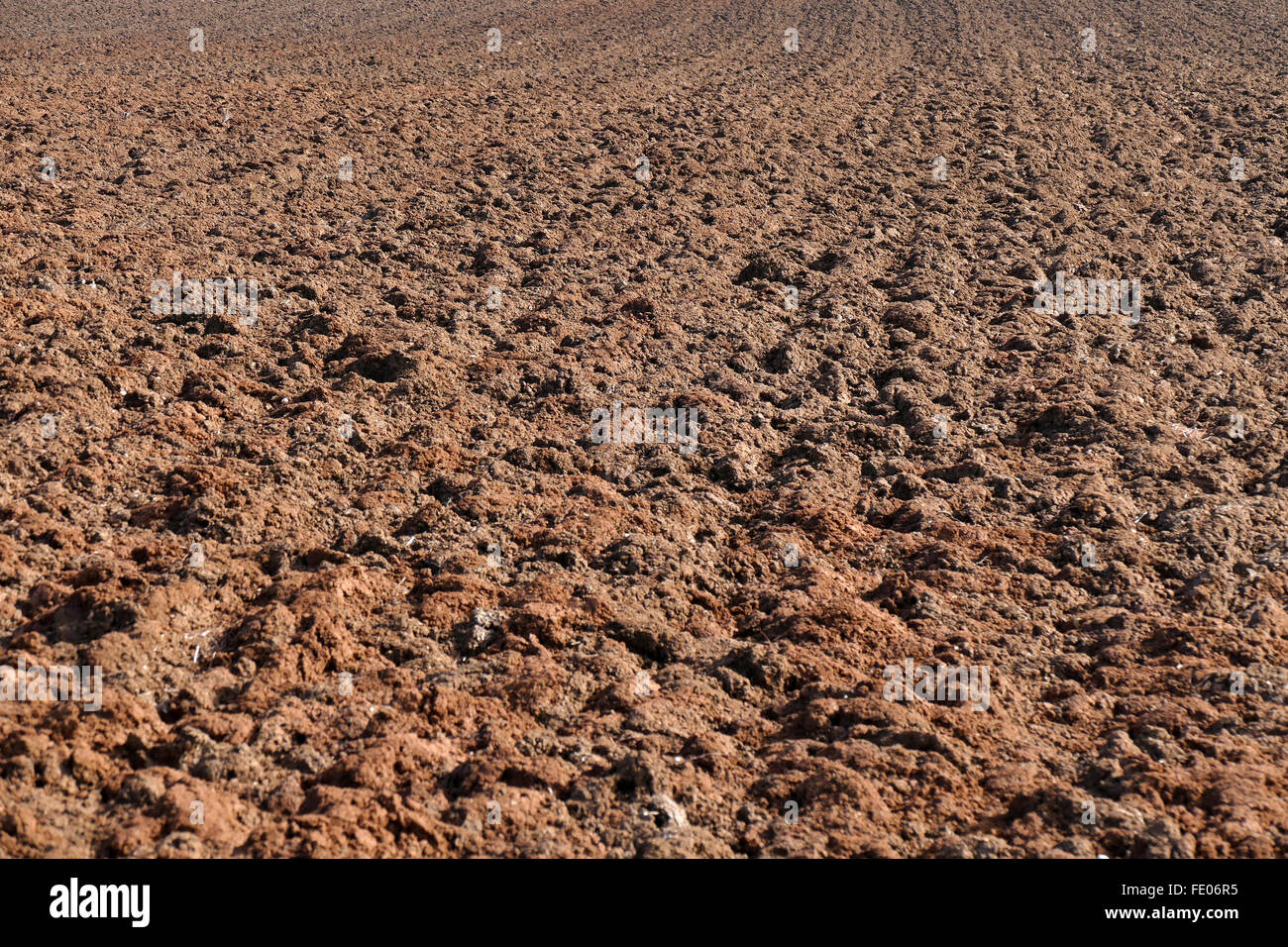 Plowed field before planting. Stock Photo